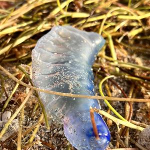 Keating Beach on Yelp