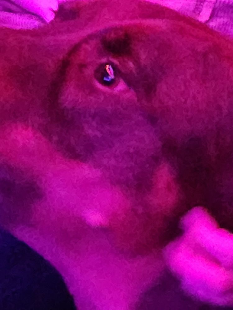 Nate's 19 Hole and Simulator Logo