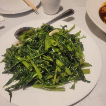 Mu Lan - Shoot pods - Taiwanese Near Me - Cambridge, Massachusetts