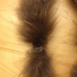 Damaged fur collar after BC cleaners. No repair, no compensation, no apology. I shouldn't have brought it there. Damaged fur collar after BC cleaners. No repair, no compensation, no apology. I shouldn't have brought it there.