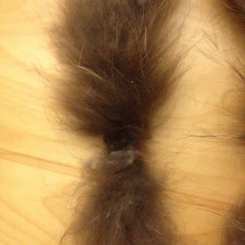 Best Care Cleaners and Alterations - Damaged fur collar after BC cleaners. No repair, no compensation, no apology. I shouldn't have brought it there. - Sewing & Alterations Near Me - Evanston, Illinois Best Care Cleaners and Alterations - Damaged fur collar after BC cleaners. No repair, no compensation, no apology. I shouldn't have brought it there. - Sewing & Alterations Near Me - Evanston, Illinois