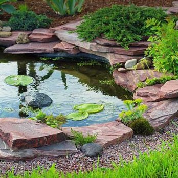 Turf Plus Outdoor Living - Ponds & Water Features - Landscaping Near Me - Cypress, Texas Turf Plus Outdoor Living - Ponds & Water Features - Landscaping Near Me - Cypress, Texas