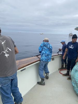 American Angler Sportfishing by null