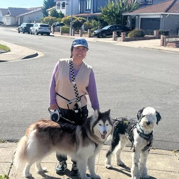 Happy Paws House - Pet Boarding Near Me - San Leandro, California Happy Paws House - Pet Boarding Near Me - San Leandro, California