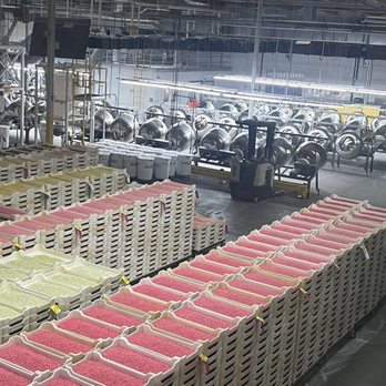 Jelly Belly Visitor Center - Factory - Candy Stores Near Me - Fairfield, California