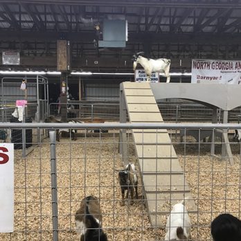 Cumming Fairgrounds - Festivals Near Me - Cumming, Georgia Cumming Fairgrounds - Festivals Near Me - Cumming, Georgia