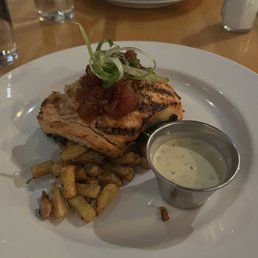 Salmon