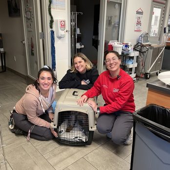 VEG ER for Pets - My puppy going home to finish her journey with staff and Dr. - Emergency Pet Hospital Near Me - Paramus, New Jersey