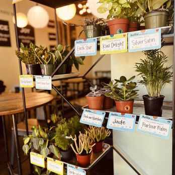 Unbar Cafe - Cafes Near Me - Cleveland, Ohio Unbar Cafe - Cafes Near Me - Cleveland, Ohio