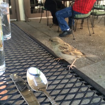 Grounds Restaurant - New American Near Me - Murphys, California