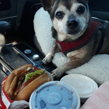The Paw Spa - Pet Groomers Near Me - Corona, California