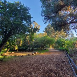Woodchip trail