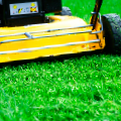 Rex's Rentals Sales & Equipment