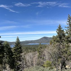 Pine Knot Trail - View