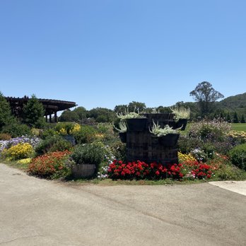 Kirigin Cellars - Wineries Near Me - Gilroy, California Kirigin Cellars - Wineries Near Me - Gilroy, California