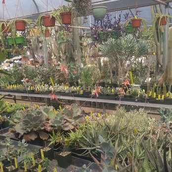 Poot's Cactus Nursery - Nurseries & Gardening Near Me - Ripon, California