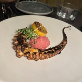 Cataluna - Octopus - Mediterranean Near Me - Jacksonville, Florida