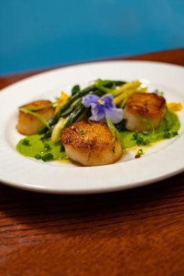 The Daily Dish by null