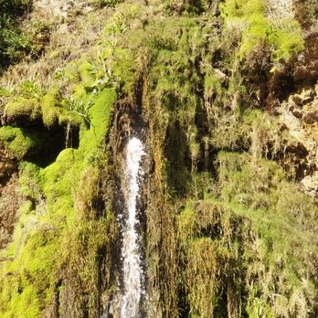 Pacifica's Secret Waterfall - Beaches Near Me Pacifica's Secret Waterfall - Beaches Near Me