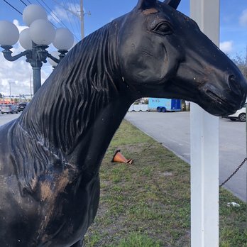 Tri County Pet Supplies & Hardware - Nurseries & Gardening Near Me - Fort Pierce, Florida Tri County Pet Supplies & Hardware - Nurseries & Gardening Near Me - Fort Pierce, Florida