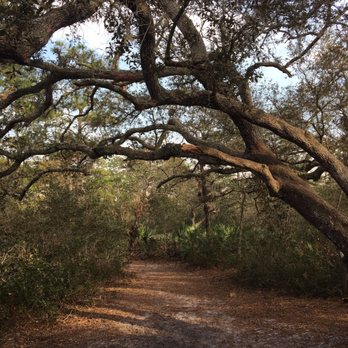 Seminole County-Econ River Wilderness Area - Parks Near Me - Oviedo, Florida Seminole County-Econ River Wilderness Area - Parks Near Me - Oviedo, Florida