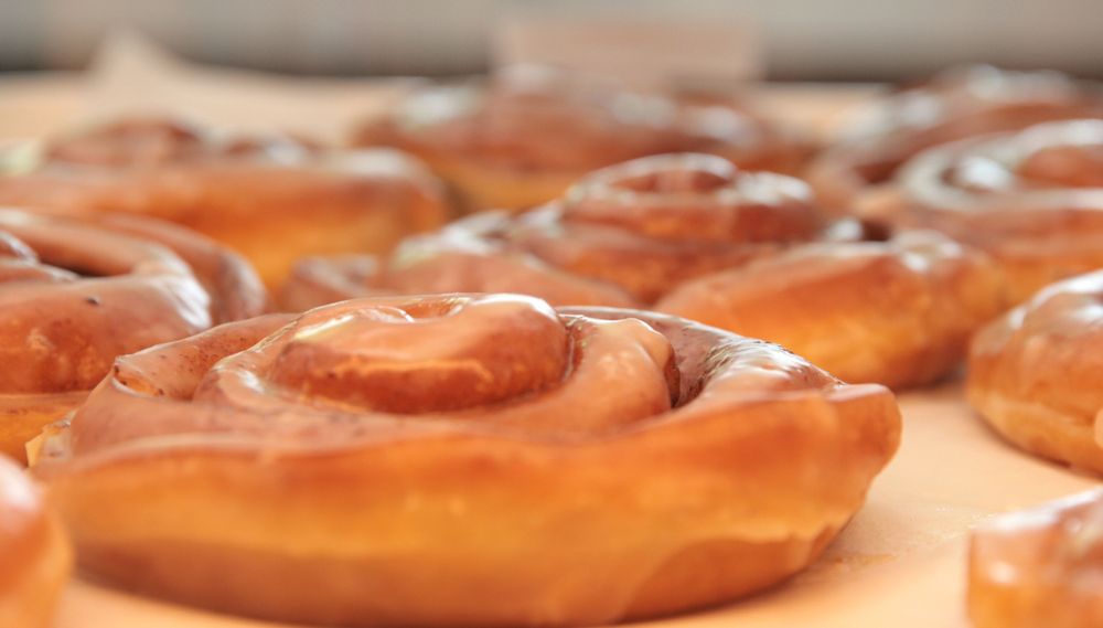 Mad Dog's Creamery & Donuts, Gatlinburg Roadtrippers