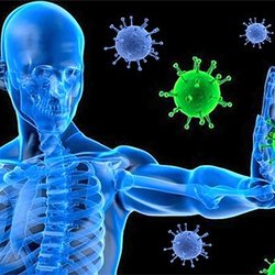 South Charlotte Pain Relief - Primary care provider
