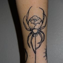 Friday 13th flash/spider
