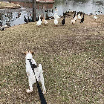 Chisholm Park - Parks Near Me - Hurst, Texas