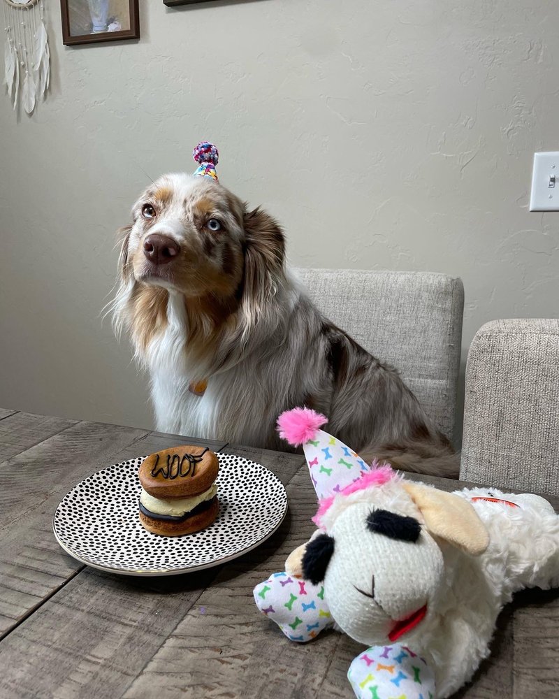 THREE DOG BAKERY Updated September 2024 43 Photos & 22 Reviews