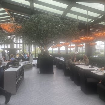 RH Rooftop Restaurant at RH Oak Brook - Tree - Breakfast & Brunch Near Me - Oak Brook, Illinois RH Rooftop Restaurant at RH Oak Brook - Tree - Breakfast & Brunch Near Me - Oak Brook, Illinois