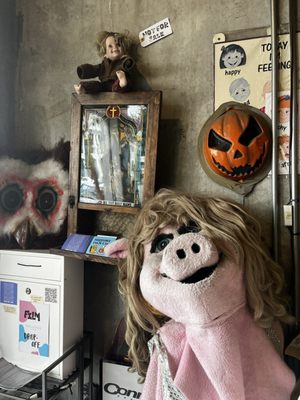 Graveface Records & Curiosities by null
