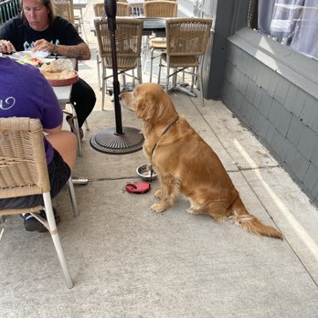 Cafe Max - two people sitting at a table with a dog - Cafes Near Me - Culver, Indiana