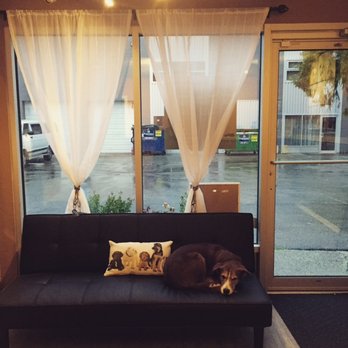 Leash Loft & Spa - Pet Training Near Me - Coquitlam, British Columbia Leash Loft & Spa - Pet Training Near Me - Coquitlam, British Columbia