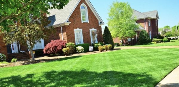 Outdoor Services - Imagine stepping out of your home to find a perfectly manicured lawn, lush and inviting, without lifting a finger. That's where we come in. Our lawn service is dedicated to transforming your outdoor space into a haven of greenery and beauty. From mowing and trimming to fertilizing and weed control, we handle it all with precision and care. With our reliable and professional team, you can reclaim your weekends and enjoy a pristine lawn year-round. Let us elevate your outdoor experience with our top-notch lawn service. Call today! Outdoor Services - Imagine stepping out of your home to find a perfectly manicured lawn, lush and inviting, without lifting a finger. That's where we come in. Our lawn service is dedicated to transforming your outdoor space into a haven of greenery and beauty. From mowing and trimming to fertilizing and weed control, we handle it all with precision and care. With our reliable and professional team, you can reclaim your weekends and enjoy a pristine lawn year-round. Let us elevate your outdoor experience with our top-notch lawn service. Call today!