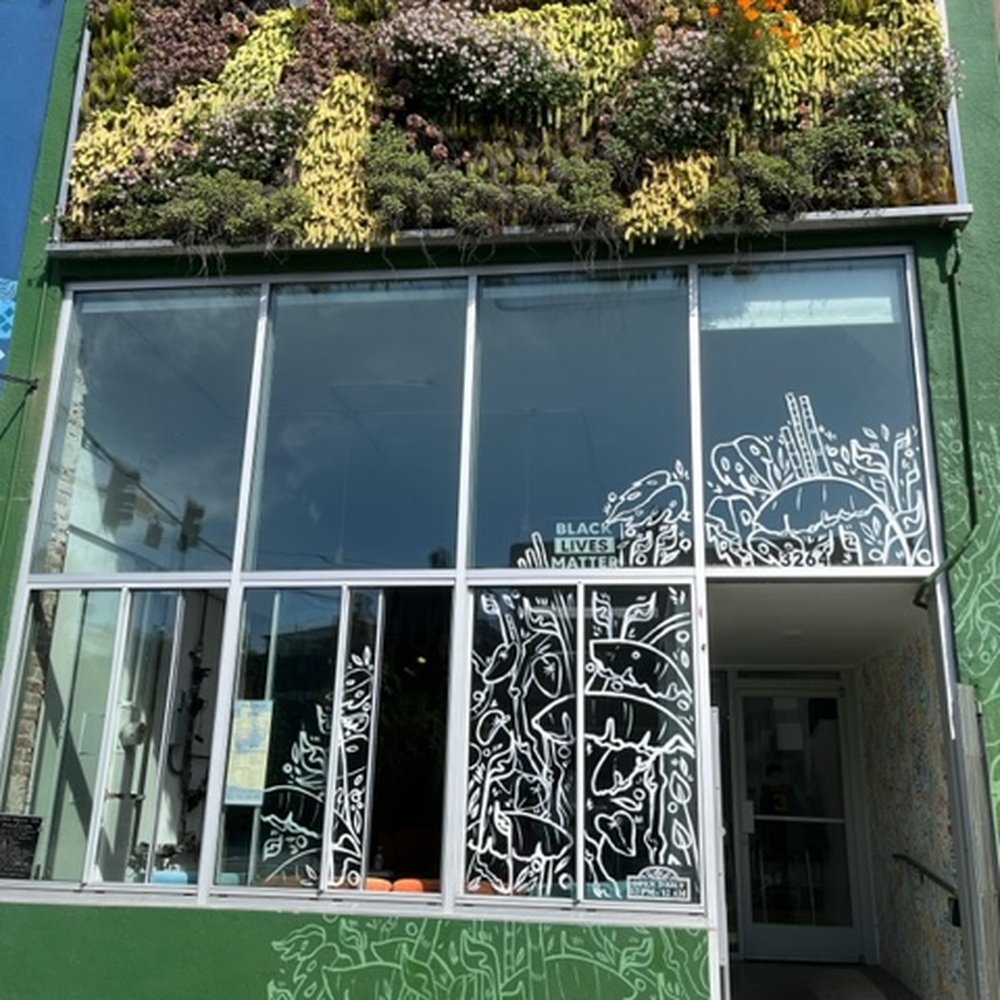Melo Melo Kava Bar - Cool plant display on the front of the Melo Melo building. - Lounges Near Me - Oakland, California Melo Melo Kava Bar - Cool plant display on the front of the Melo Melo building. - Lounges Near Me - Oakland, California