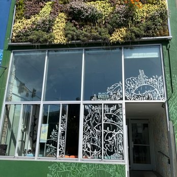 Melo Melo Kava Bar - Cool plant display on the front of the Melo Melo building. - Lounges Near Me - Oakland, California Melo Melo Kava Bar - Cool plant display on the front of the Melo Melo building. - Lounges Near Me - Oakland, California