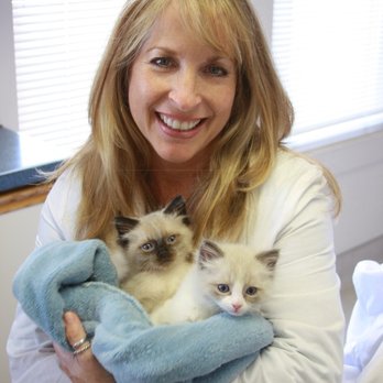 Purrfurably Cats - Dr. Kathleen Marcus & kittens - Veterinarians Near Me - Monterey, California Purrfurably Cats - Dr. Kathleen Marcus & kittens - Veterinarians Near Me - Monterey, California
