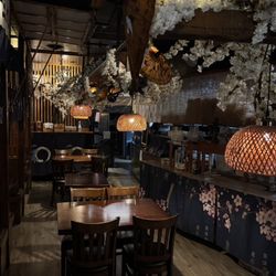 Orange Roll & Sushi 139 - Enjoy sushi under cherry blossoms and traditional Japanese umbrellas