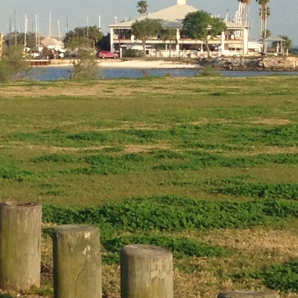 Davis Island Trail - Yacht Club - Parks Near Me - Tampa, Florida Davis Island Trail - Yacht Club - Parks Near Me - Tampa, Florida