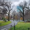 Gibson House Museum gift card