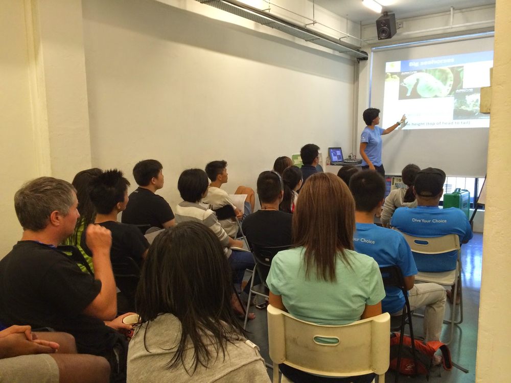 GILL DIVERS Updated July 2024 10 Photos 37 Hong Kong Street