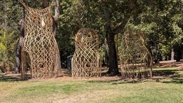 Sonoma Botanical Garden by null