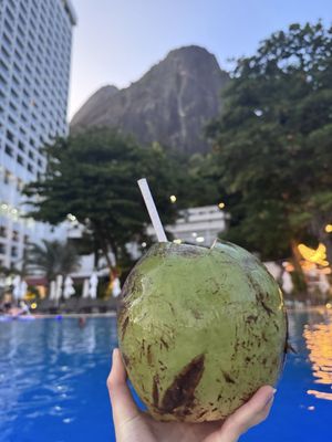 Sheraton Grand Rio Hotel & Resort by null