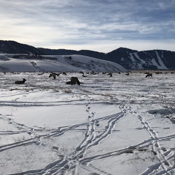 National Elk Refuge Sleigh Rides - Parks Near Me - Jackson, Wyoming National Elk Refuge Sleigh Rides - Parks Near Me - Jackson, Wyoming