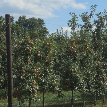 Evans Orchard & Cider Mill - Fruits & Veggies Near Me - Georgetown, Kentucky