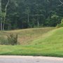 Photo of Lawns & Moore