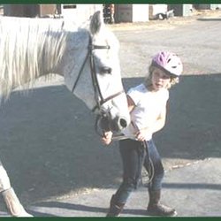 Shoestring Farms