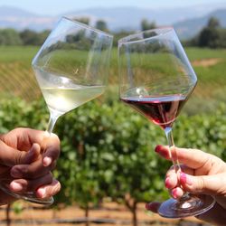Cheers 2 Wine - Our website has all the info you need to plan a California Wine Tour.
