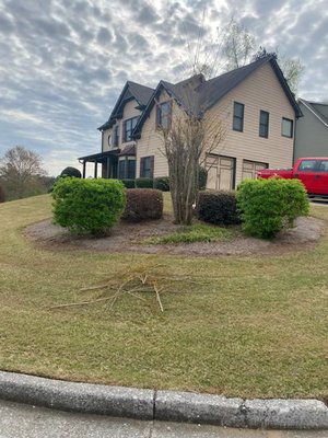 Mulch - We were able to help this client with their entire lawn. All islands needed to be mulched, shrubs needed trimming, and clean of some overgrown bushes. Mulch - We were able to help this client with their entire lawn. All islands needed to be mulched, shrubs needed trimming, and clean of some overgrown bushes.